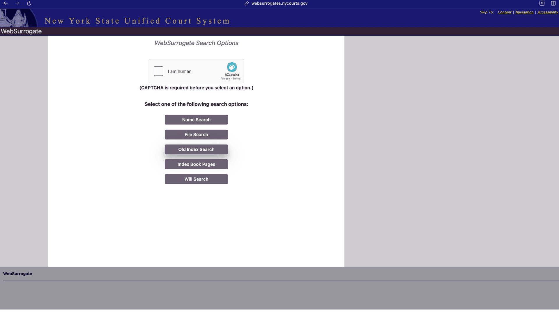 New York Surrogate Court Scraper screenshot 2